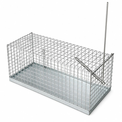 Trappola gabbia cattura - gabbia,